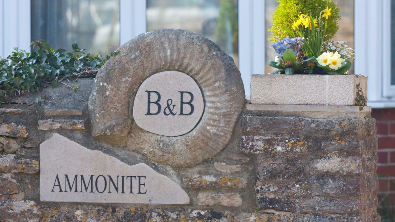 Ammonite Bed & Breakfast คอร์ฟคาสเซิล ภายนอก รูปภาพ